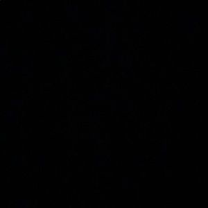 Meet your Posher, Nevaeh